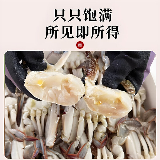 Haisuda Zhoushan fresh swimming crab pieces, net weight 550g (16-20 pieces), cut crabs, frozen fresh wild sea flying crabs, white crabs, seafood aquatic products