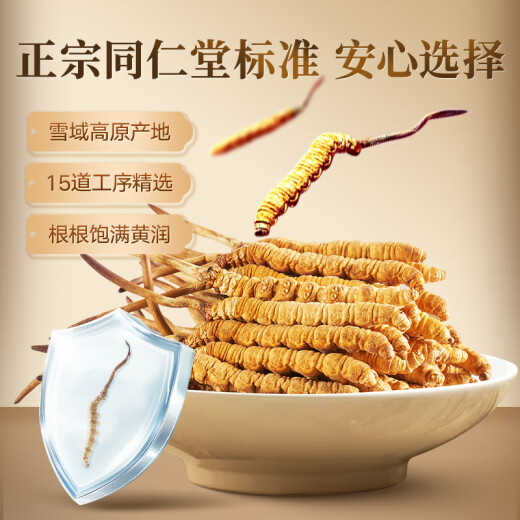 同仁堂品牌冬虫夏草5根/g4g20根虫草礼盒高端午节礼品补品送礼长辈领导
