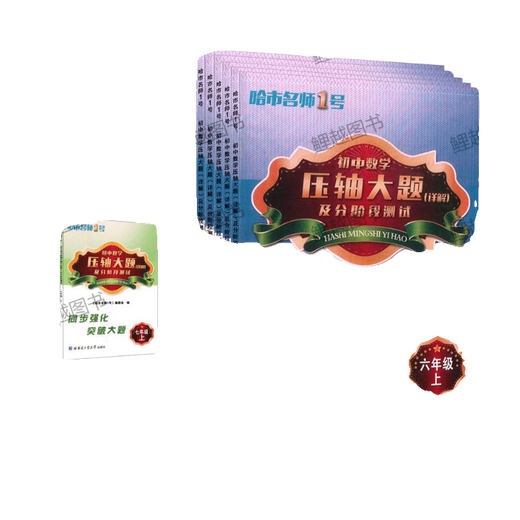 初中数学2627压轴大题详解六七八678年级五四54制哈尔滨市期中末 7年级【上册】 初中通用
