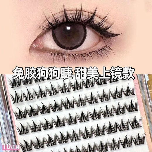 Menglu glue-free false eyelashes for dogs, naturally curly and thick, no need for glue, simulated segmented eyelashes, 100 clusters of glue-free canine + gold feather clip