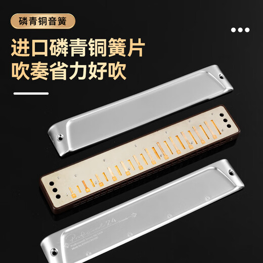 Kongsheng (Kongsheng) Alemán Gong Gong 24 hoyos Polifónicos armónicos Nivel de rendimiento profesional Adulto Advanced Accent Cafg Recomendación clave para principiantes Polifónico C Key [Recomendado para principiantes] + Materiales de aprendizaje