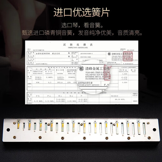 Guoguang importiert Gong Guoguang Akzent Harmonische polyphonische C-Tune-Anfänger High-End Harmonic Professional Performance Instrument 24-Loch-C-Tune Polyphonische Silber