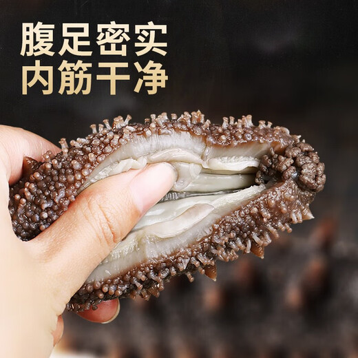 Dongshang Yupin ready-to-eat sea cucumber 1 Jin Jin is equal to 0.5 kg sea cucumber domestic solids 75% fresh 6-9 pieces - straight from the source
