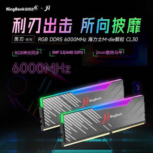 KINGBANK DDR5 Memory White Blade/Star Blade RGB Light Strip 6000/6400/6800 High Frequency Memory Divine Light Sync Light Strip Compatible with Black Myth Wukong Deepseek Hardware Black Blade 32G (16G*2) 6000RGB Strip C30