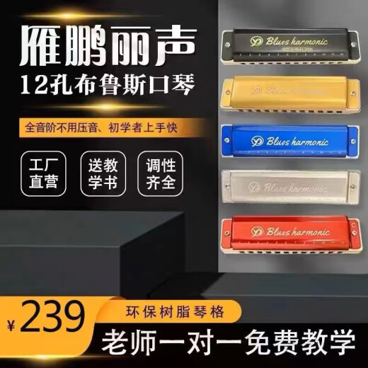 雁鹏丽声高档初学者十二孔树脂格布鲁斯口琴低音加faLa 12孔 红色 C调（初学者专用）