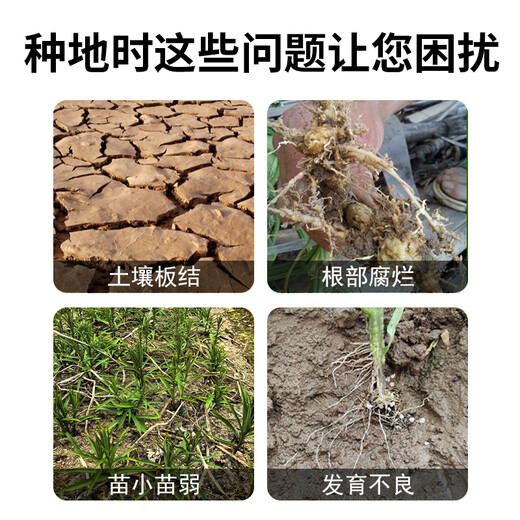 丰泽通蓝袋贝母种植专用肥土壤病菌消杀烂种根腐鳞茎膨大提质增产 丰泽通蓝袋3袋