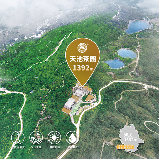 Tianchi Tea Industry 1392 Phoenix Одиночный Cong Duck Fragrance Argrance Artagerce Certified Clorful Series Chazhou Phoenix Одинокий конг чай