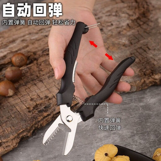 Raw chestnut opener, chestnut peeling machine, chestnut shearing machine, chestnut shell peeling clip, stainless steel tool, 1 pack, chestnut shears