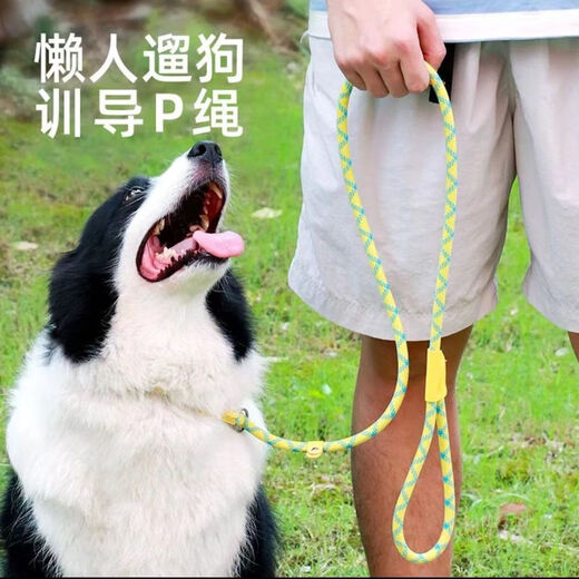 Pet traction rope, special dog leash for outdoor explosion-proof training for dogs, small, medium and large dog p chain, dog walking rope, 1 piece, 1.5 meters/0.6cm, green blue dots, no Specifications