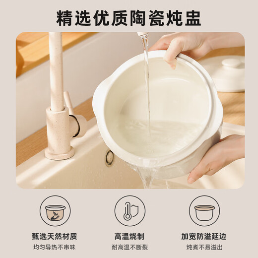 LOTOR White electric stew pot multi-function pot electric cooking pot soup pot household large-capacity water-proof stew pot baby food supplement electric steamer porridge pot D31 five-gallon style