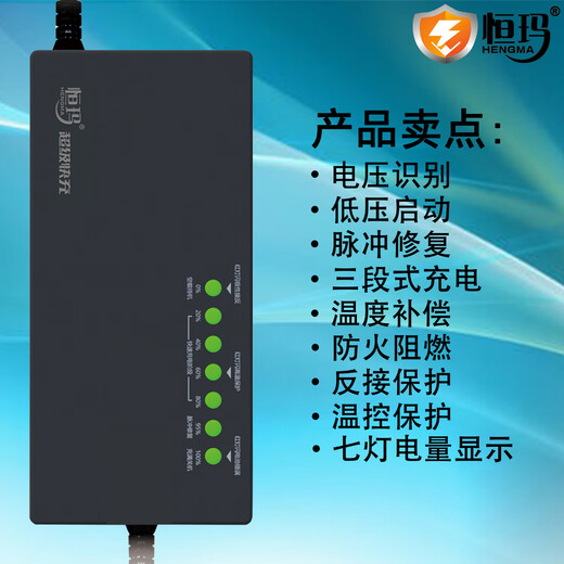 Suitable for Emma electric vehicle charger 48V60V20ah72V20ah lead-acid graphene battery car universal seven-lamp 48V12Ah Emma small male plug