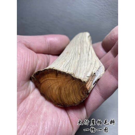 胖东来品质太行崖柏手原木毛料陈化柏木老料树根弹弓把玩根雕练手 679