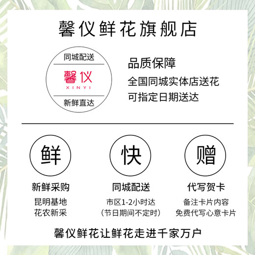 Xinyi Flower Express Roses and Carnations Bouquets as Gifts for Mom and Elders Nationwide Flower Delivery in the City 21 Champagne Carnations Mixed and Matched Bouquets