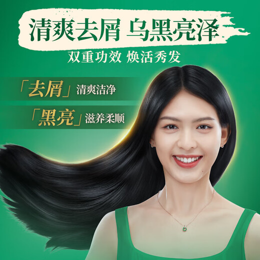 夏士莲洗发水750g去屑滋养黑芝麻控油韧发养根养发二合一洗发露 黑亮去屑 750g 1瓶