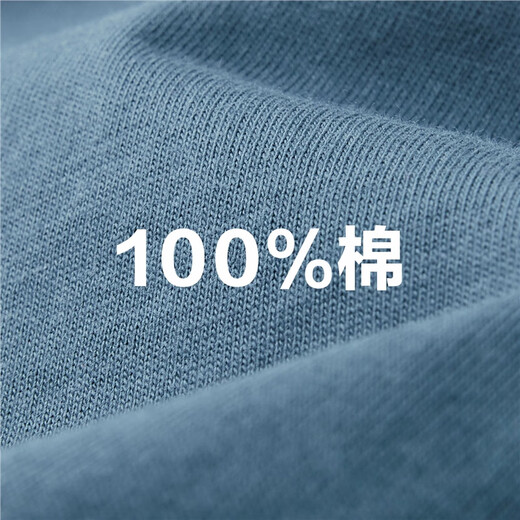 Giordano long-sleeved T-shirt men's pure cotton top basic solid color round neck bottoming shirt 01023820