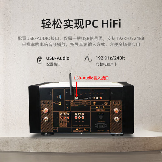 天逸（Winner）AD-99D多功能超甲类HIFI功放发烧级功放机大功率家用高保真合并式功放音响套装 AD-99D（JD物流直达）