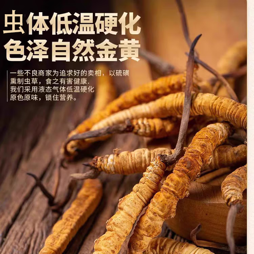 Kangyuan Tibetan grassland Cordyceps high-altitude dry goods Cordyceps health supplements gifts for parents, elders and colleagues high-end gift boxes, 3 sticks per gram, 50 grams [Exclusive gift box]