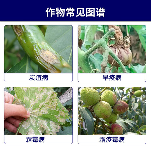 Syngenta Amicolor, 560 г/литр, азоксистробин, хлороталонил, милдью, фитофтороз, пестицид, фунгицид, 500 мл * 1 бутылка