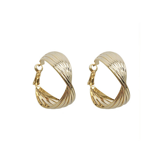 Lan Huiming 925 Silver Needle New Trendy Exaggerated Twisted Earrings Korean Temperament Internet Celebrity Simple Fashion Earrings Girl Birthday Gift Twisted Earrings