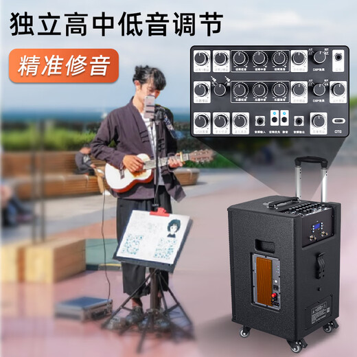 European and American high-end outdoor K-song dedicated sound card audio all-in-one machine professional singer live broadcast home KTV square dance performance high-power mobile trolley Bluetooth speaker with microphone A1 10-inch subwoofer 800W 2* headset + gift package