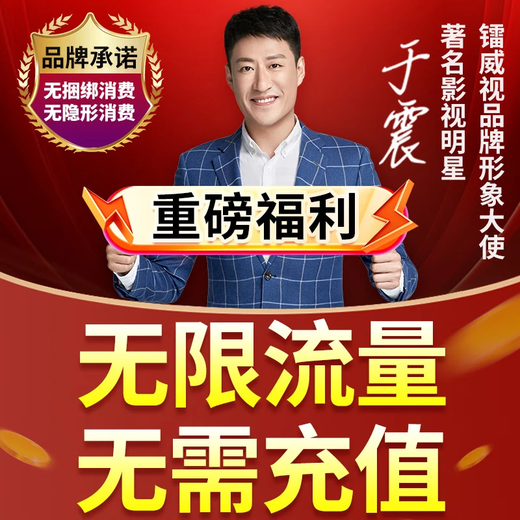 镭威视4g摄像头终身免流量监控器可对话网络无需wifi360度全景无死角带夜视无线手机远程室户外追踪农村 高配版】免充值+双画面+64G