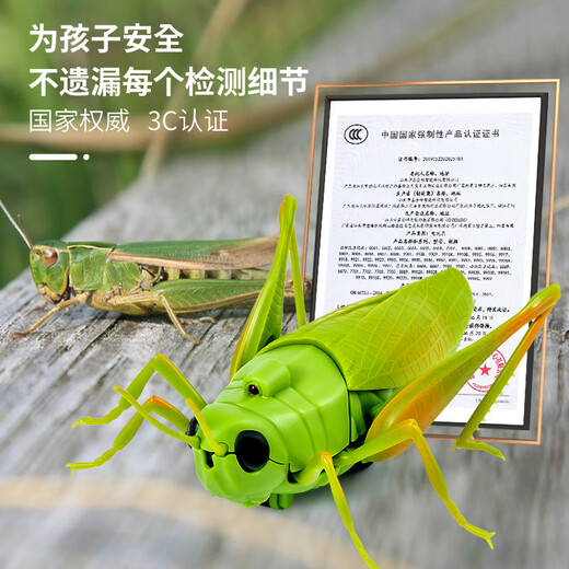 
Creation techniques remote control grasshopper electric toys little boys and girls Internet celebrity simulation can move insects, reptiles, small animals, children's pranks [Classic version - remote control centipede] Yellow and black model 9901+ screwdriver, equal size