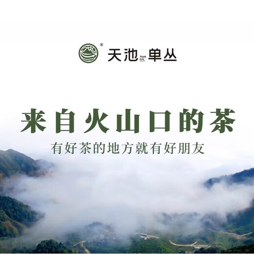 1392 Tianchi Tea Industry Phoenix Chaozhou Single Cotton Caramel Molasses High-end Classic Orchid Fragrance Milan 320g Group Purchase Gift Milan 320g (10g of Chongqing Bao Tangerine peel)