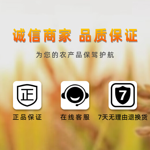 Shijia Yibao only applies to holes. Shijia Yibao endophytic mycorrhizal agent promotes roots, improves quality and inhibits root soil-borne diseases fertilizer 1L/bag