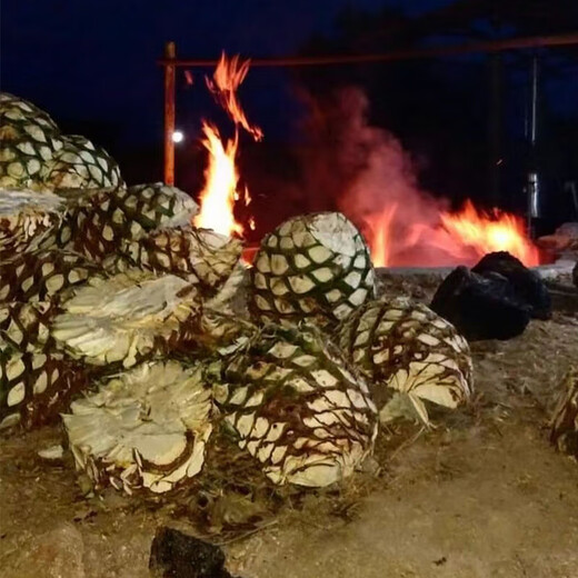 Hacienda de Banuelos mezcal tequila bouteille originale mexicaine vin importé cadeau de vacances Tepemit tequila 750mL 1 bouteille