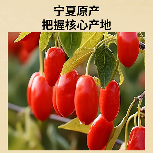 
Tongrentang Brand Beijing Tongrentang Special Glycobberry Ningxia Original 250g Canned No pesticide residues and No smoked sulfur