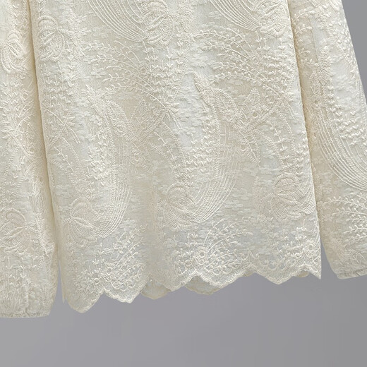 Sibaishe long-sleeved shirt 2025 autumn new women's short lace embroidered loose commuting simple top apricot L