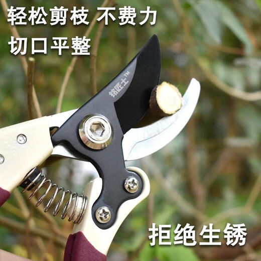 JCZS German quality precision fruit tree pruning scissors, tree thick branch flower pruning shears, special labor-saving for home gardening, purple, purple frosted black blade