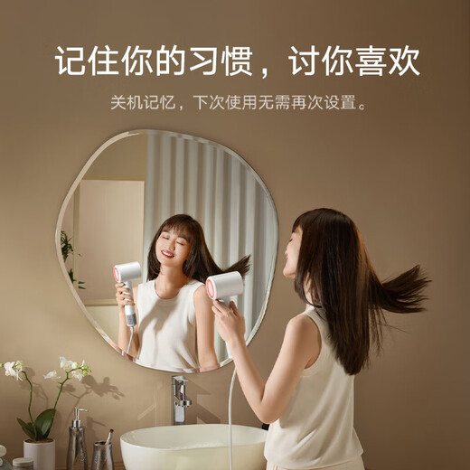 Mijia Xiaomi Hair Dryer H501 SE Home High Wind Negative Ion Hair Care Quick Drying High Power Constant Temperature Control Hair Dryer Chinese Valentine's Day Gifts 38th Festival Recommended Gifts Blue