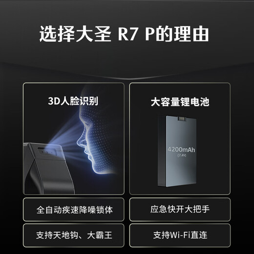 DESMAN (DESMAN) fully automatic 3D face recognition smart lock fingerprint lock password lock anti-theft door lock smart door lock Dasheng R7P
