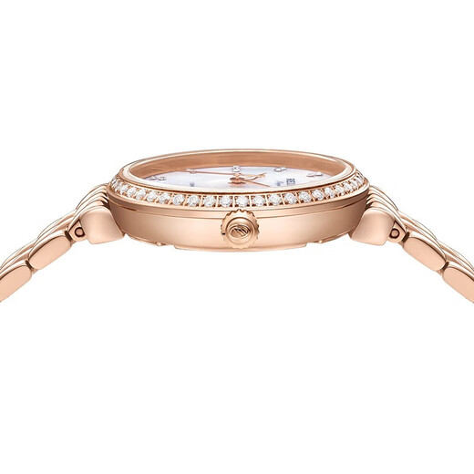 雷迈REIMAH手表女时尚镶钻防水18K贝母面石英表钢带6182 香槟粉盘