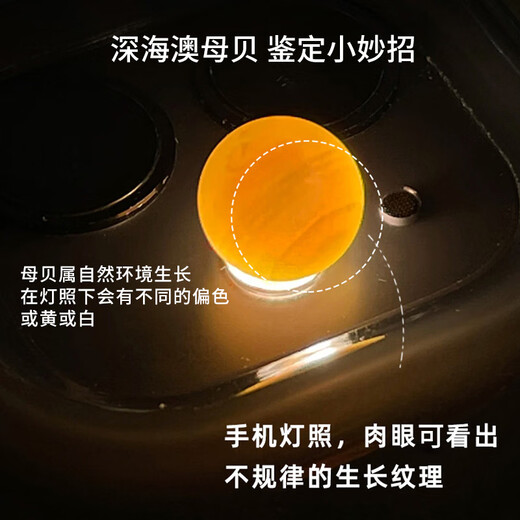 DYN natural mother-of-pearl large pearl earrings S999 sterling silver-plated earrings round bright light luxury high-end pearl earrings for women suitable for fleshy earlobes mother-of-pearl 12MM