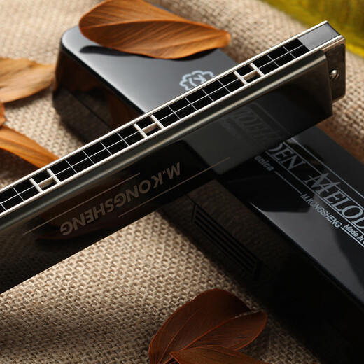 Hokong Sound Harmonic 24 Hokong Polyphonic #A/B/C/D/E/F/G Гармоника для начинающих.