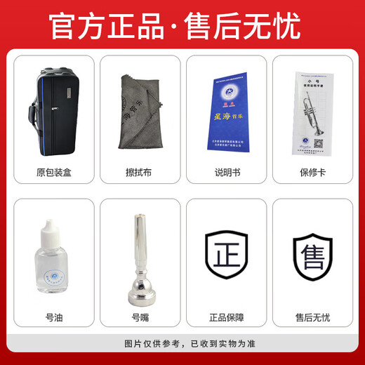 Xinghai trumpet B-flat brass tube Western musical instruments, beginners and beginners to perform musical instruments, B-flat brass E-581