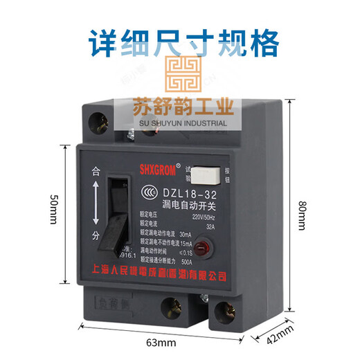Shanghai People's DZL18-/20A leakage protector cable tray suitcase two-phase leakage switch construction site 2P 32A