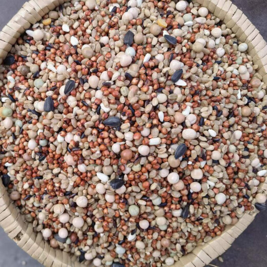 10 Jin Jin is equal to 0.5 kilograms of corn-free pigeon food, racing nutritional feed, bird food, carrier pigeon ornamental pigeon meat, pigeon food, pigeon food