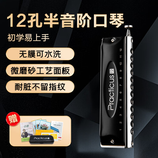 Dunhuang Chromotic harmonica 12-hole film-free washing C-tuning for students to beginners C-tuning black
