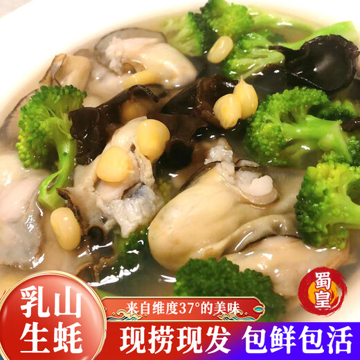 Shuhuang Rushan Oysters Fresh Large Seafood 5Jin Jin is equal to 0.5kg, net weight 4XL (9-13 pieces), only shipped directly from the source, free shipping