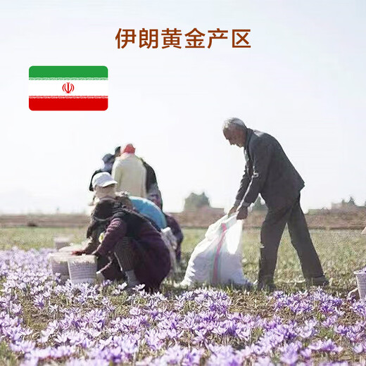 
Made in Jingdong, a special saffron gift box 20g, Iranian saffron, soaked in water for elders and elderly people, and the gift of calming the spirit
