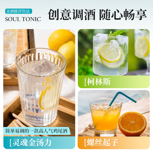 FAST.KING Gin Gin Gin Gin Gin Gin Gin Wine Beverage Base Wine Set 700ml [Enjoy Pack] 700mL 2 Bottles