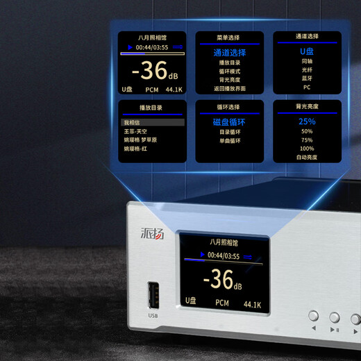 Paiyang DPA-1 digital audio player U disk lossless music DP-1 turntable digital broadcast decoding machine DPA-1 silver digital broadcast decoding machine digital broadcasting