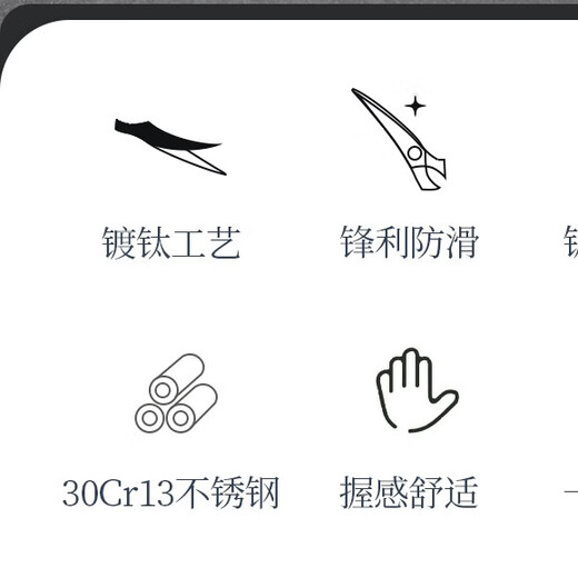 Zhang Xiaoquan Tijeras Cocina casera Tijeras de Titanio Tijeras Multifuncionales de Acero Inoxidable Clip Tijeras de Nogal Tijeras para Carne Tijeras para Barbacoa Vegetal Tijeras de Cocina chapadas en Titanio