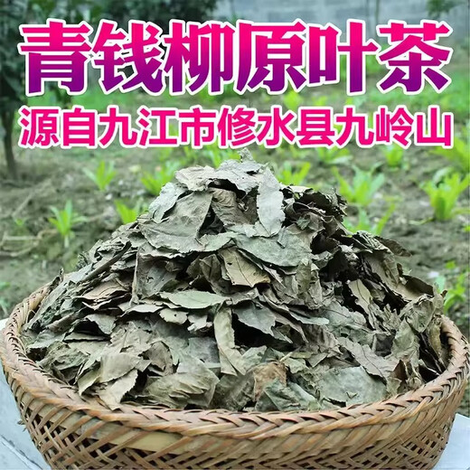 Qingqian Liuyuan Blatt Tee Jiangxi Xiushui Wild Money Willow Natural Qingqian Willow Blatt Chinese Kräutermedizin Gesundheit und Tonic Tea 500 Jahre Qingqian Liuyuan Leaf 1000g Authentische Xiushui Wild Money Willow Leaf Leaf