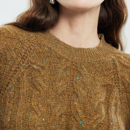 PALUOPO pure cashmere women's autumn and winter new round neck pullover sweater casual cable knit sweater ET2F8072R red brown color S 155/95