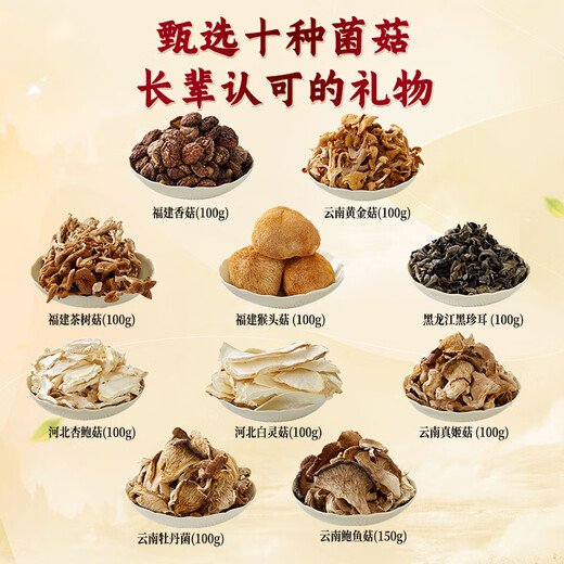 赵铁生菌菇礼盒干货牛肝菌鸡枞纯菌年货送长辈八种口味大礼包团购 山里味道【十味山珍】 1050g
