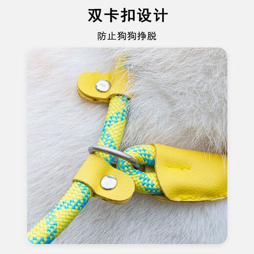 Pet traction rope, special dog leash for outdoor explosion-proof training for dogs, small, medium and large dog p chain, dog walking rope, 1 piece, 1.5 meters/0.6cm, green blue dots, no Specifications